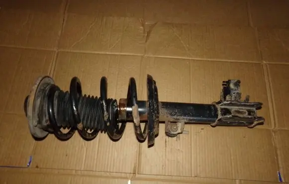 Opel Signum Front shock absorber with coil spring