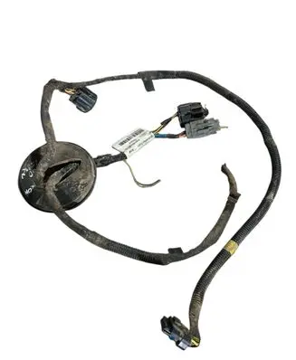 Other wiring loom