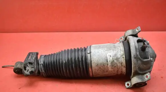 Porsche Cayenne (9PA) Rear shock absorber/damper 7L5512021AM