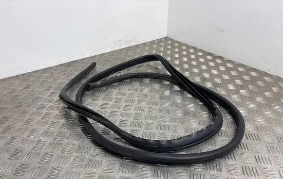 Nissan Juke II F16 Front door rubber seal 