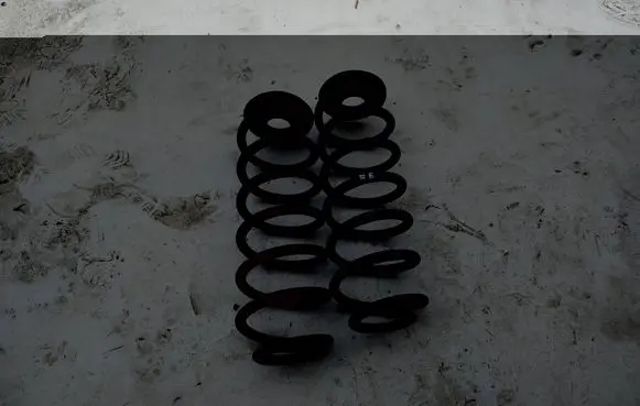 Volkswagen PASSAT B6 Rear coil spring