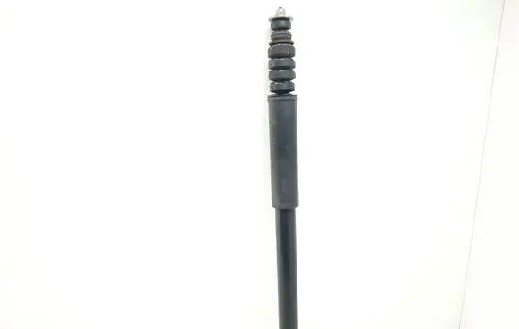 Dacia Sandero Rear shock absorber/damper 8200953294