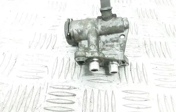 Thermostat/thermostat housing