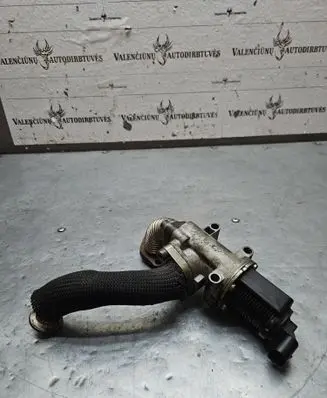 EGR valve