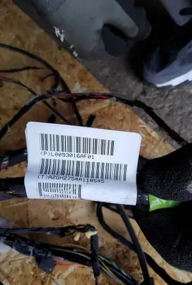 Chrysler Town & Country V Other wiring loom L0093016AF01