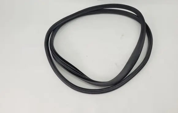 Renault Zoe Rubber seal rear door 
