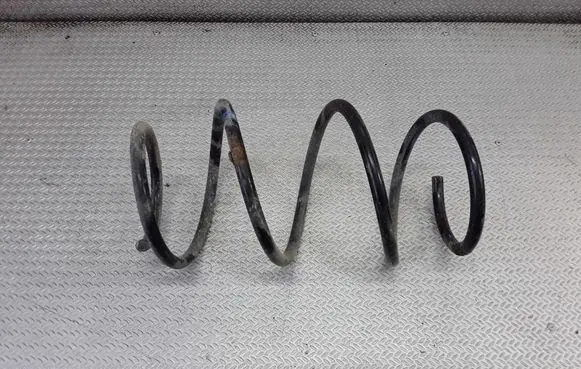 Front coil spring