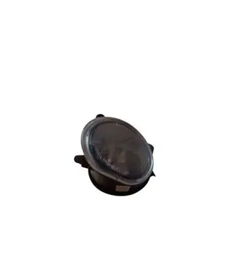 Front fog light