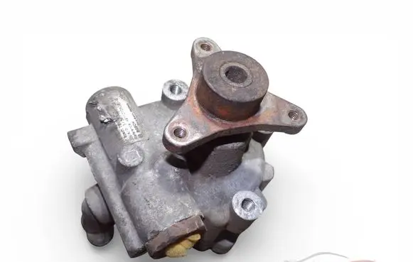 Renault Trafic II (X83) Power steering pump 491101050R