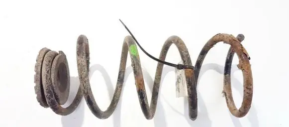 Fiat Punto (188) Rear coil spring 