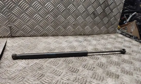 Tailgate strut