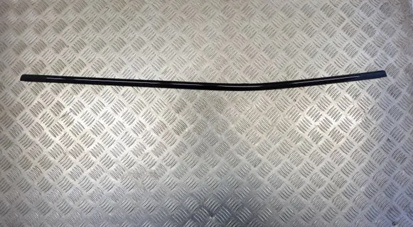 BMW X2 F39 Rear door trim (molding) 8742467