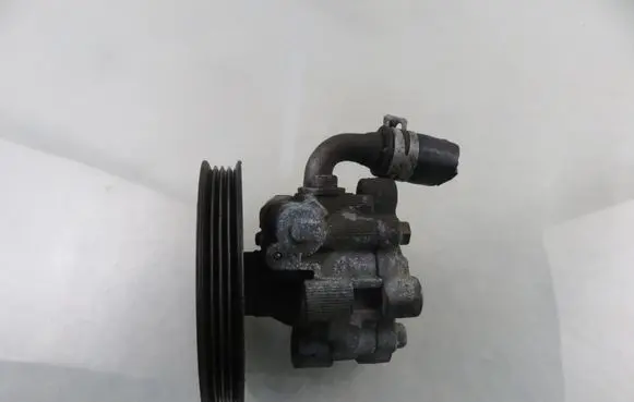 Chrysler Voyager Power steering pump 20602164F