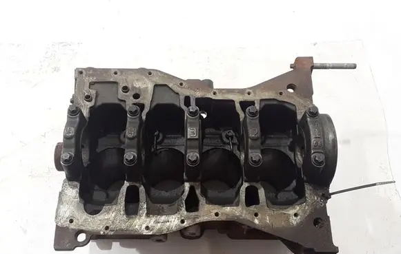 Renault Scenic III - Grand scenic III Engine block 110101220R