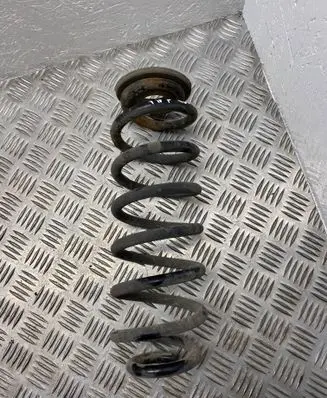 Volkswagen PASSAT B6 Rear coil spring