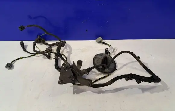 Other wiring loom