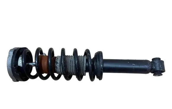 BMW X3 F25 Rear shock absorber with coil spring 6796317 33526796317 6787202