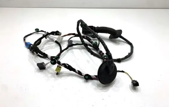 Volkswagen PASSAT B8 Front door wiring loom 3G1971120DK