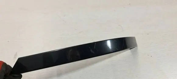 Rear/tail light trim molding
