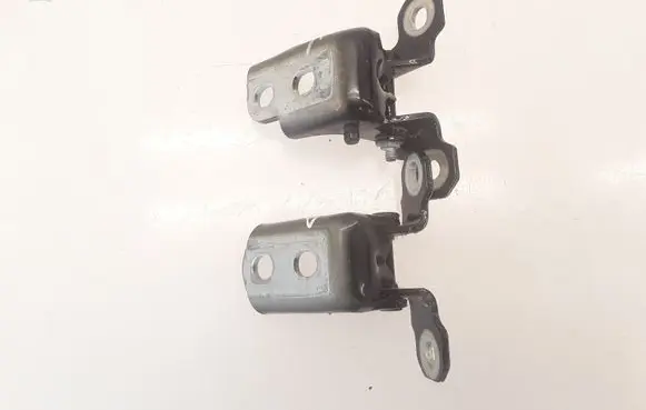 Renault Latitude (L70) Rear door hinge set I120073