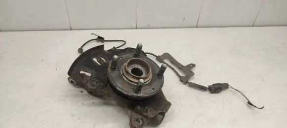 Hyundai i20 (PB PBT) Front wheel hub spindle knuckle