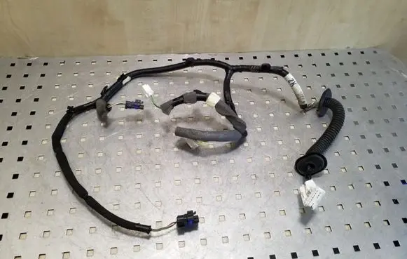 Rear door wiring loom