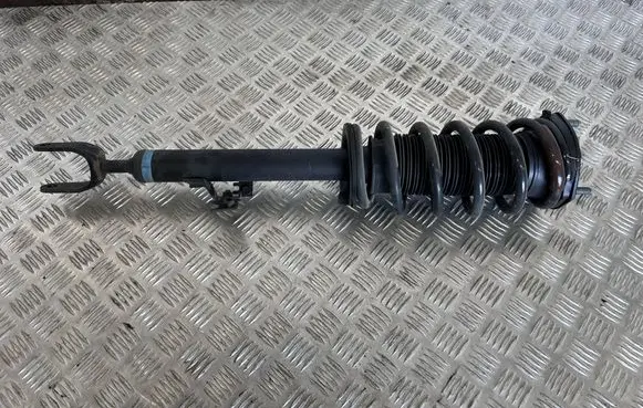 Toyota Mirai II Front shock absorber with coil spring 4852062020