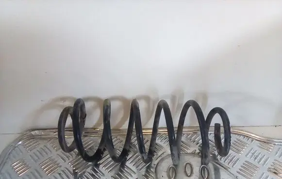 Smart ForFour I Rear coil spring