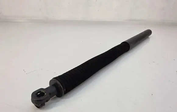 Tailgate strut