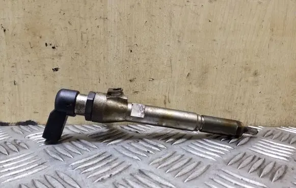 Nissan Qashqai Fuel injector H8200294788 8200380253