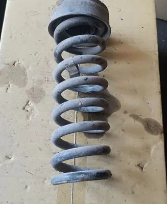 Rear coil spring