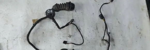 Front door wiring loom