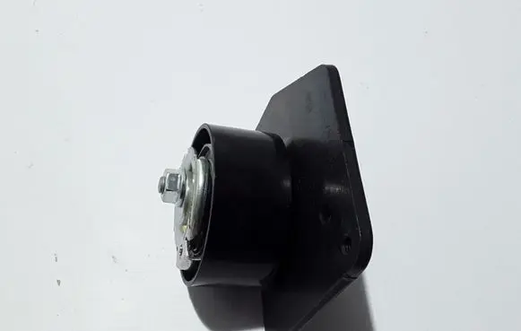 Renault Megane III Belt tensioner pulley 8201033287