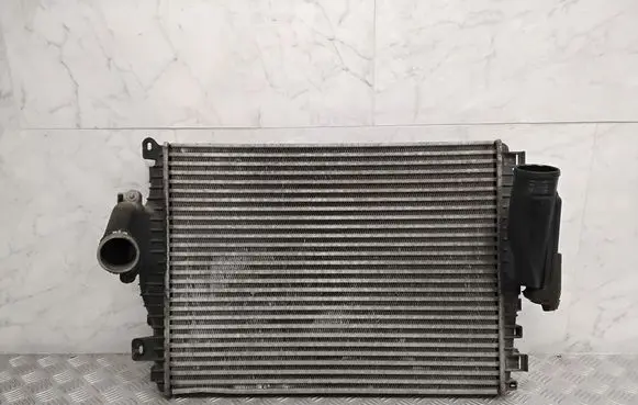 Jaguar XF X250 Intercooler radiator CX239L440EC