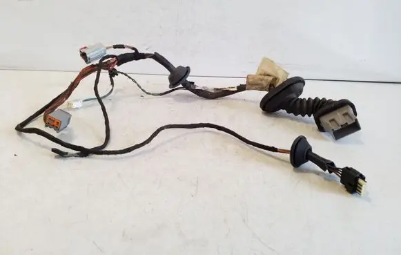 Rear door wiring loom
