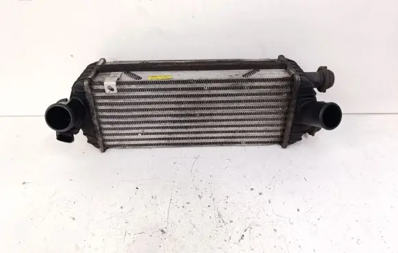 Intercooler radiator
