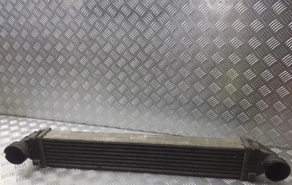 Mercedes-Benz A W169 Intercooler radiator A1695000000