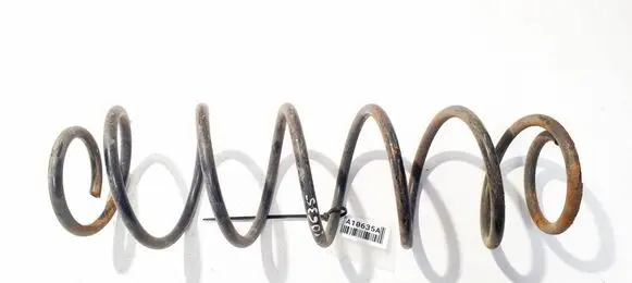 Rear coil spring