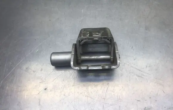 Renault Clio III Front door lower hinge 305762E