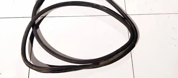 Peugeot 307 Rubber seal front coupe door 