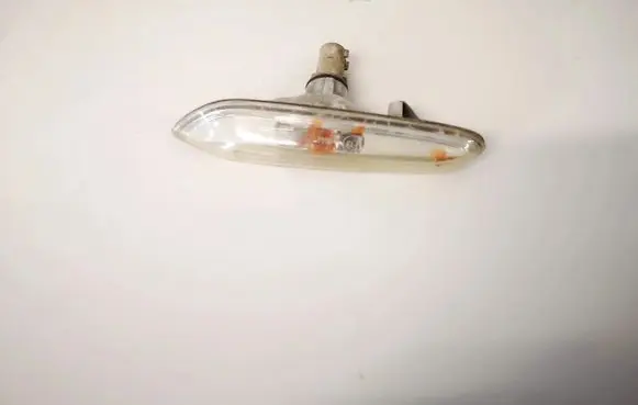 Front fender indicator light