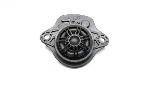 Tesla Model 3 Front door speaker 109873700B