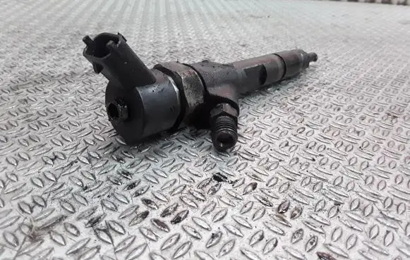 Renault Espace - Grand espace IV Fuel injector 8200100272 0445110110B