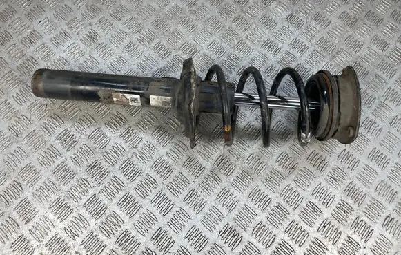 Front shock absorber with coil spring