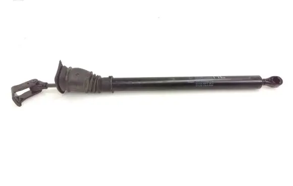 Rear door check strap stopper