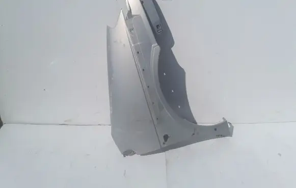 Renault Scenic RX Fender