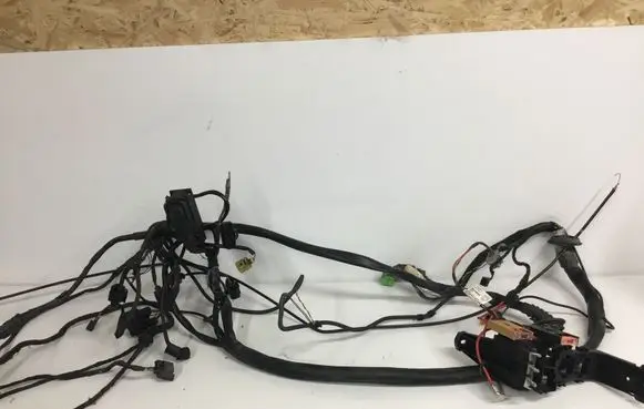Audi A4 S4 B6 8E 8H Wiring harness 8E1971725C