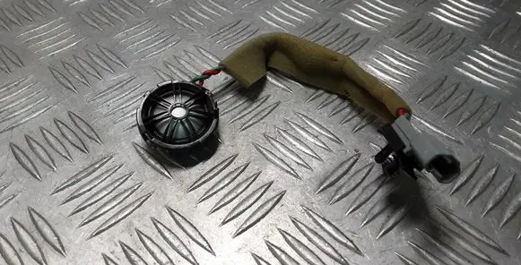 Front door high frequency speaker