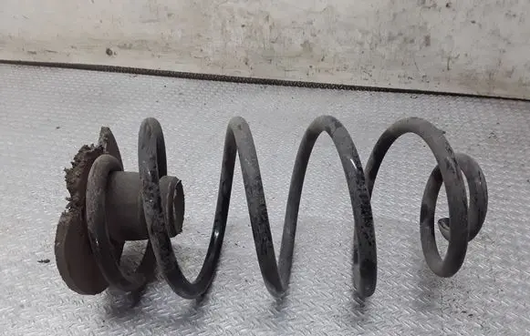 Rear coil spring