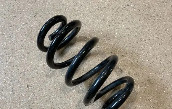 Rear coil spring